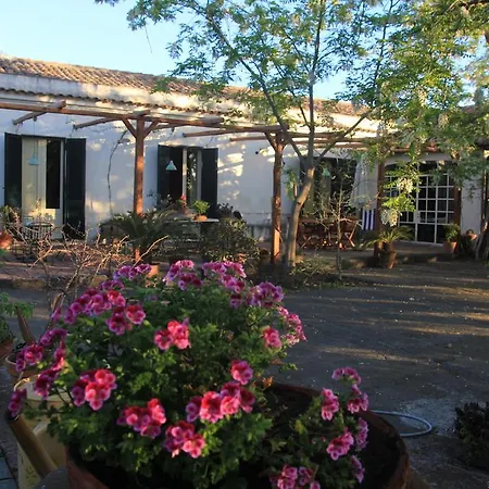 ベッド・アンド・ブレックファスト Etna La Casa Di Pippinitto 3*