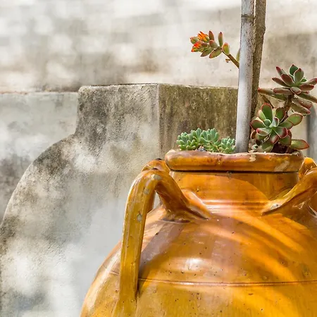 Etna La Casa Di Pippinitto 3* サンタ・ヴェネリーナ