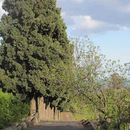 Etna La Casa Di Pippinitto 3* サンタ・ヴェネリーナ