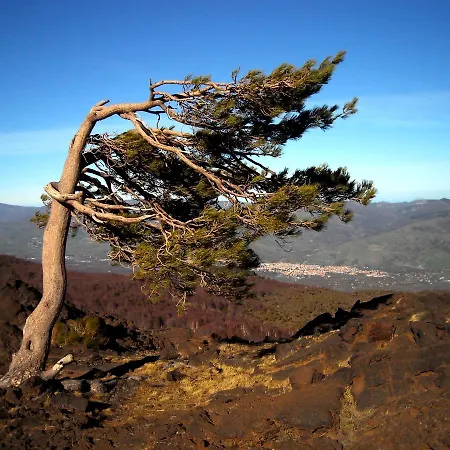 Etna La Casa Di Pippinitto ベッド・アンド・ブレックファスト